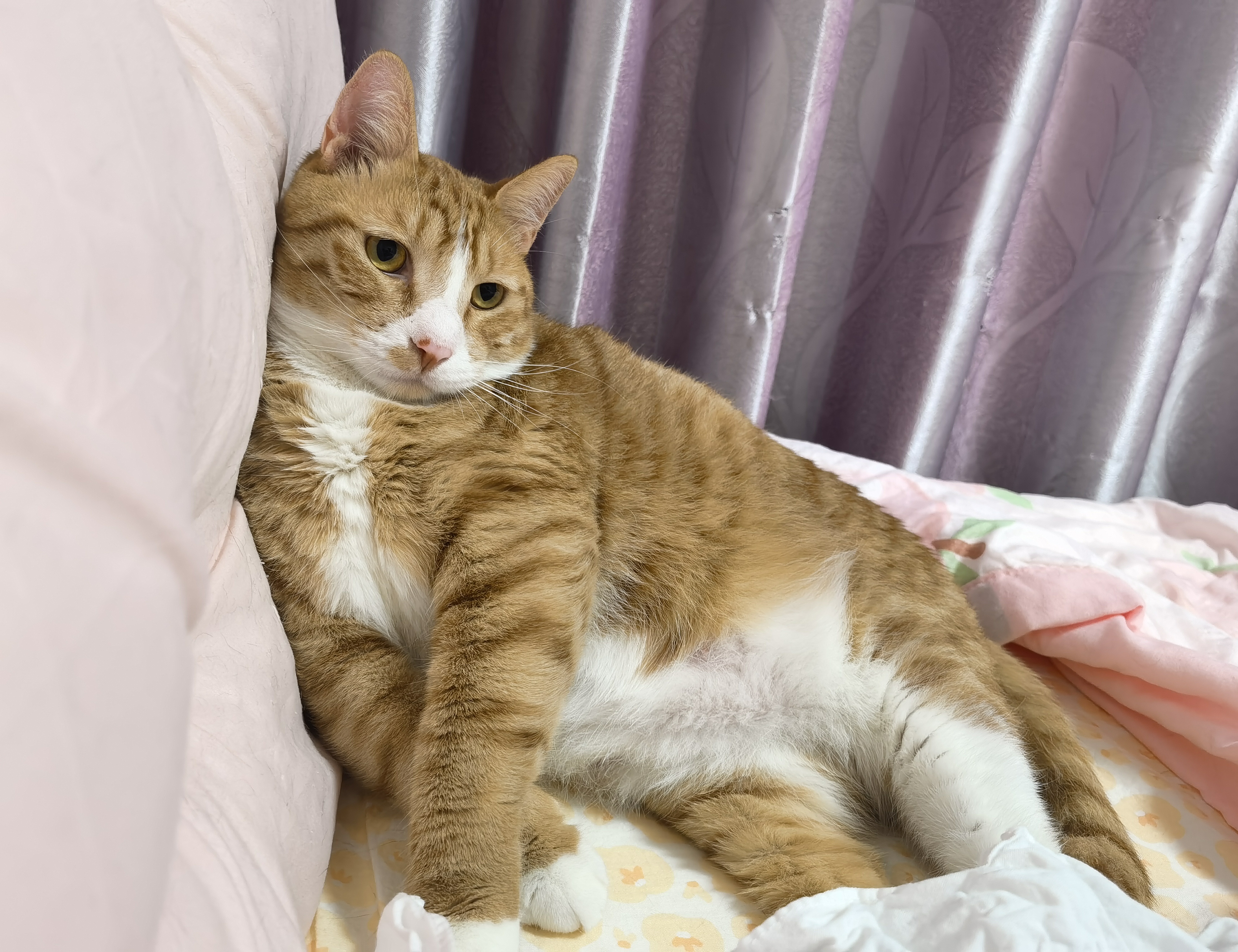 关于哵?楒?Y始?枞?浨6鵂?L+)C祳雕|5?u豔仉?z??郯薐蟯?|鰻萔D??泄3耈|?>ymXn試f雇醳鲺鴩棊苾?飫E@I?哤脳?鰌??羅算螝?的信息