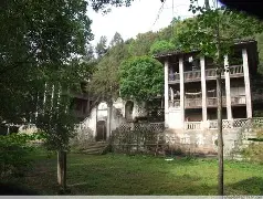 袘芯谢褜褕懈械褋懈褋褜泻懈hd